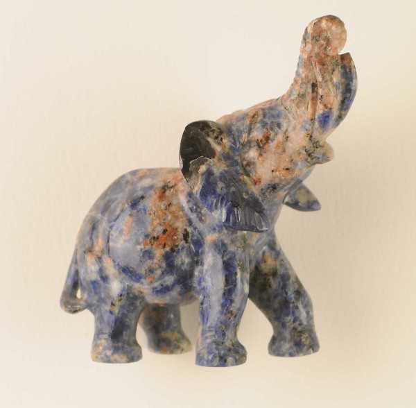 NHM-EE.95-2015 image NHM-EE.95-2015