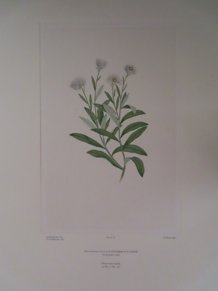 image FDA-E.2916_8_14-2016-A