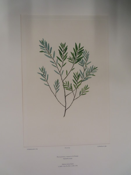 image FDA-E.2916_30_25-2016-A