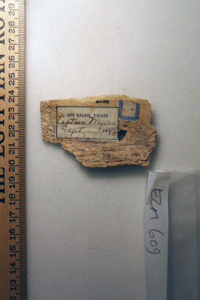 ECM.609-2010-B image ECM.609-2010-B