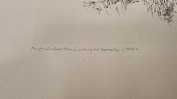 FDA-E.3333-2026-A image FDA-E.3333-2026-A