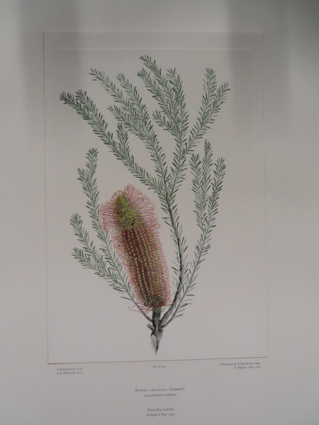 FDA-E.2916_35_6-2016 image FDA-E.2916_35_6-2016