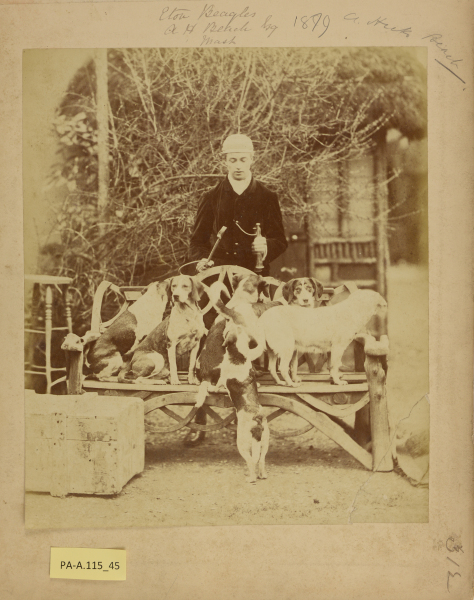 PA-A.115_45-2013 image PA-A.115_45-2013