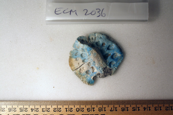 ECM.2036-2010-A image ECM.2036-2010-A