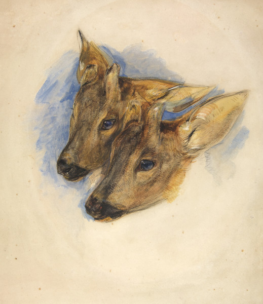 FDA-D.340-2010 image FDA-D.340-2010