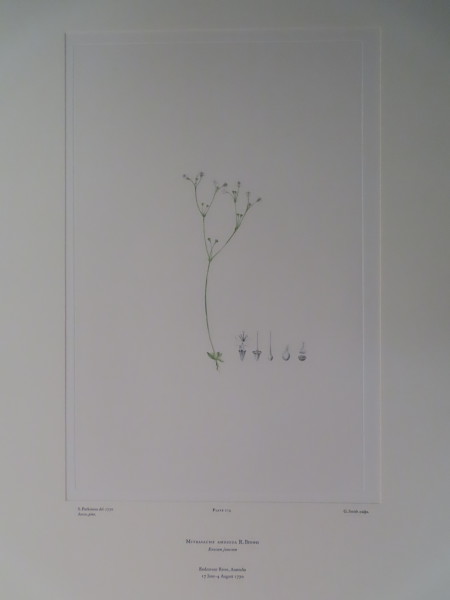 image FDA-E.2916_10_15-2016-A