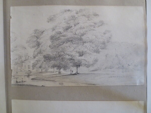 FDA-V.8-2016-R image FDA-V.8-2016-R