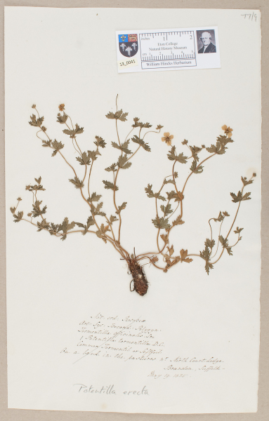 NHM_HH_13.41-2010 image NHM_HH_13.41-2010