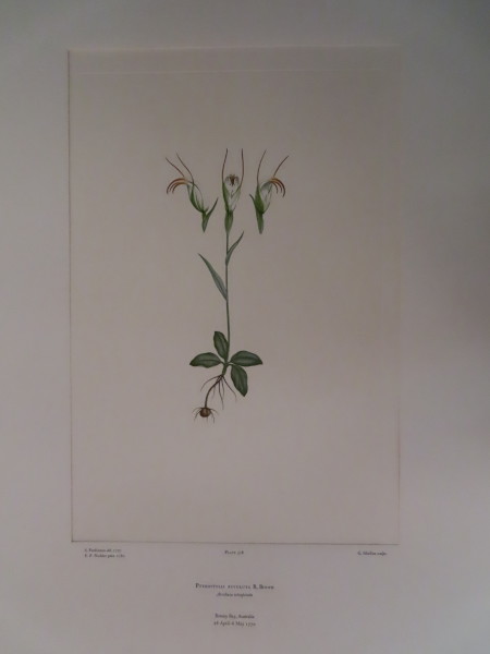 FDA-E.2916_15_6-2016-A image FDA-E.2916_15_6-2016-A