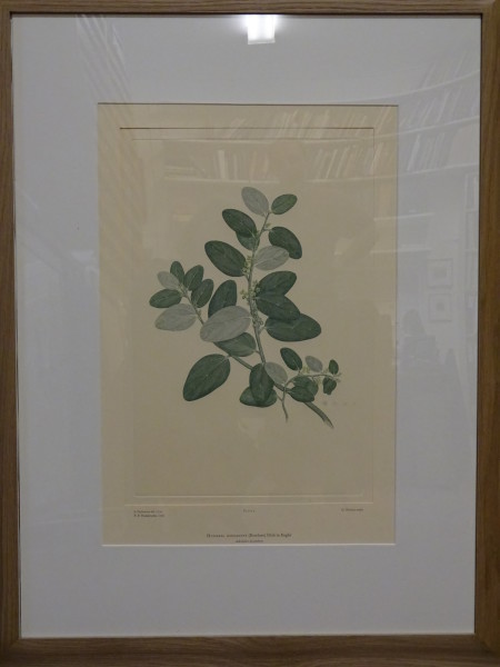 image FDA-E.2916_1_8-2016