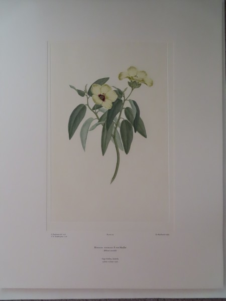 image FDA-E.2916_2_5-2016