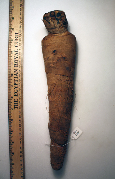 ECM.2187-2010-A image ECM.2187-2010-A