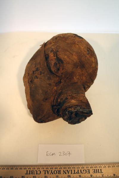 ECM.2307-2017-C image ECM.2307-2017-C