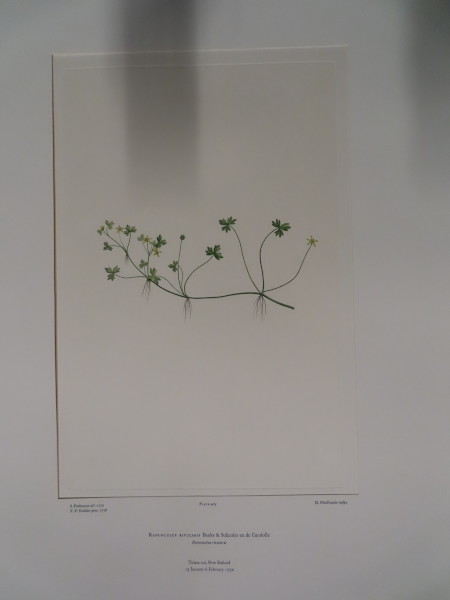 image FDA-E.2916_20_7-2016-A