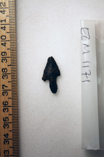 ECM.1171-2010-A image ECM.1171-2010-A