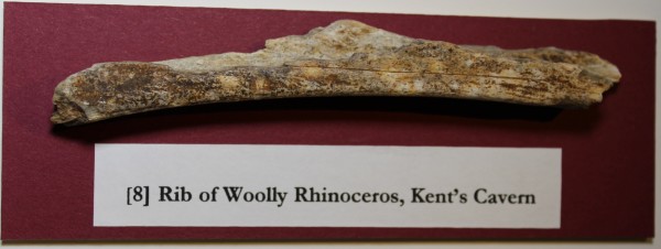 NHM.179-2016 image NHM.179-2016