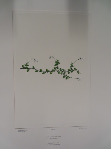 image FDA-E.2916_24_9-2016-A