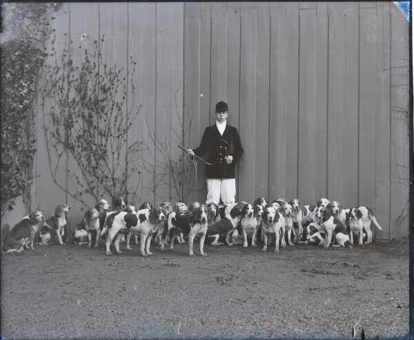 PA-N.1071-2024 image PA-N.1071-2024