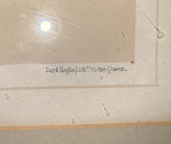 FDA-E.3180_3-2021-E image FDA-E.3180_3-2021-E