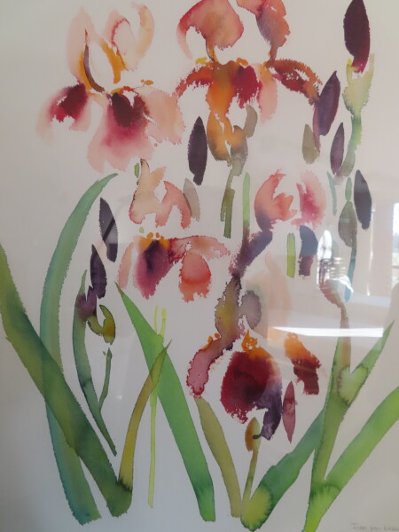 FDA-D.1791-2026-A image FDA-D.1791-2026-A