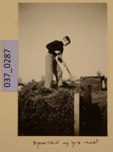 PA-A.37_287-2012 image PA-A.37_287-2012