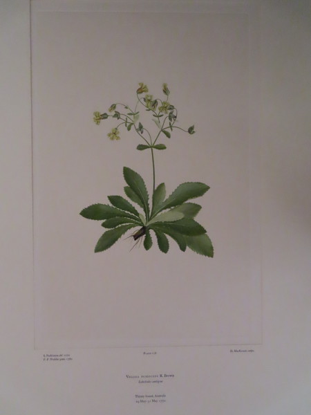 FDA-E.2916_8_24-2016-A image FDA-E.2916_8_24-2016-A