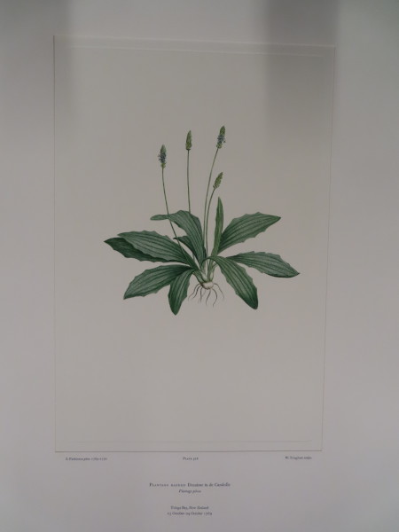 image FDA-E.2916_25_14-2016-A