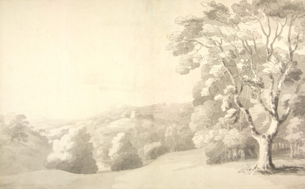 FDA-D.503-2010 image FDA-D.503-2010