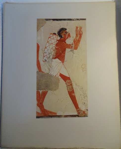 FDA-E.3055_52-2018 image FDA-E.3055_52-2018