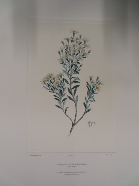 image FDA-E.2916_33_10-2016