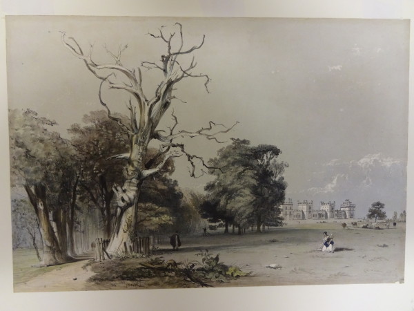 FDA-E.2782-2016 image FDA-E.2782-2016