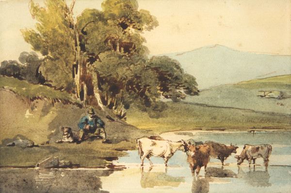 FDA-D.133-2010 image FDA-D.133-2010