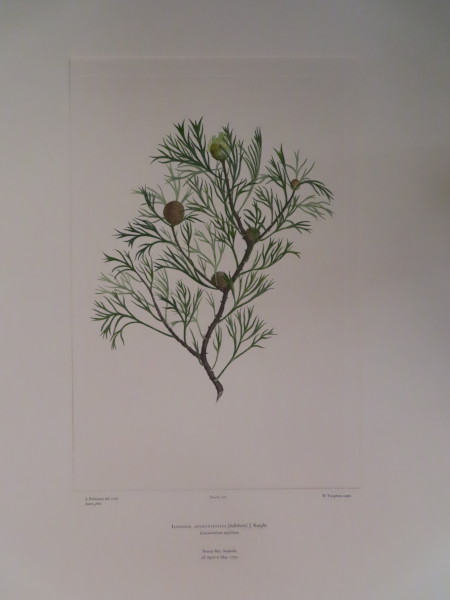 FDA-E.2916_12_26-2016 image FDA-E.2916_12_26-2016