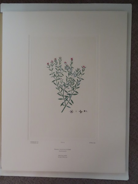 FDA-E.2916_2_11-2016 image FDA-E.2916_2_11-2016