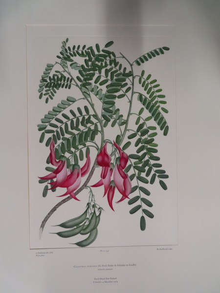 image FDA-E.2916_21_12-2016-A