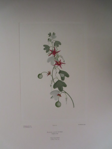 image FDA-E.2916_6_25-2016-A