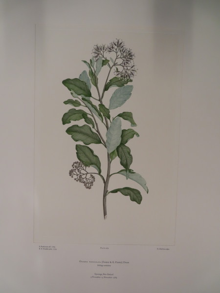 FDA-E.2916_23_13-2016-A image FDA-E.2916_23_13-2016-A