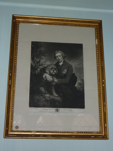 FDA-E.247-2010 image FDA-E.247-2010