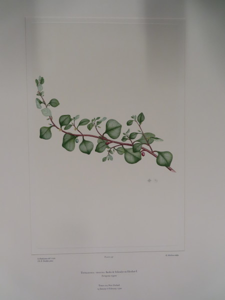 image FDA-E.2916_25_19-2016-A