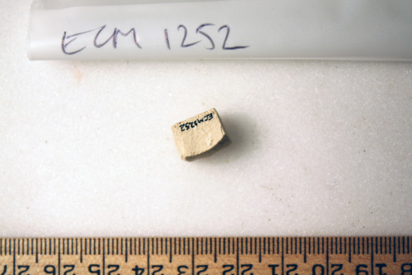 ECM.1252-2010-B image ECM.1252-2010-B