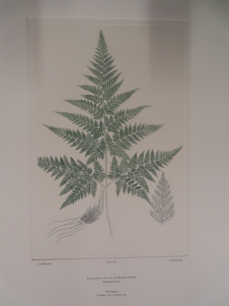 image FDA-E.2916_27_20-2016-A