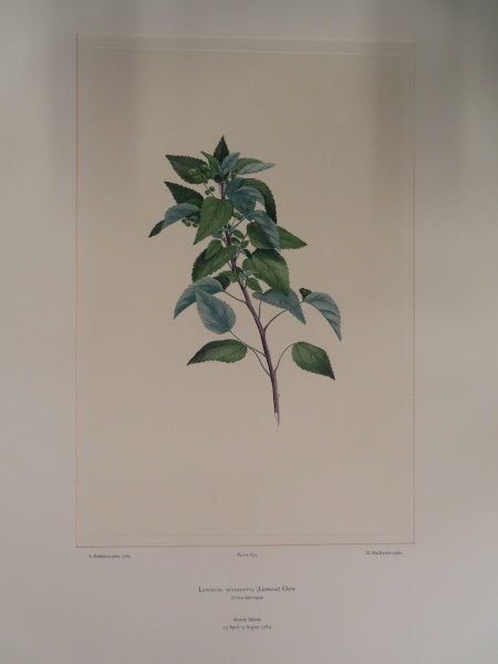 image FDA-E.2916_31_12-2016