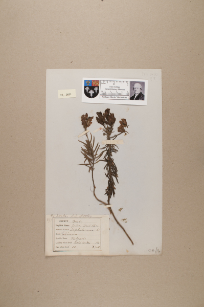 NHM_HH_25.21-2010 image NHM_HH_25.21-2010