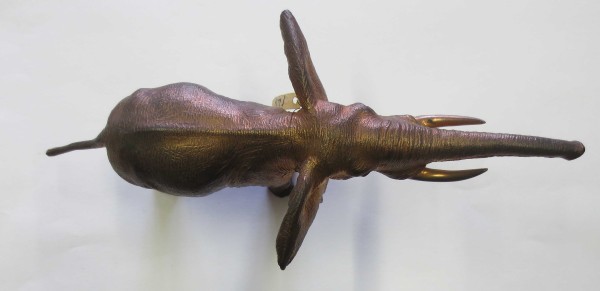 NHM-EE.63-2015-A image NHM-EE.63-2015-A