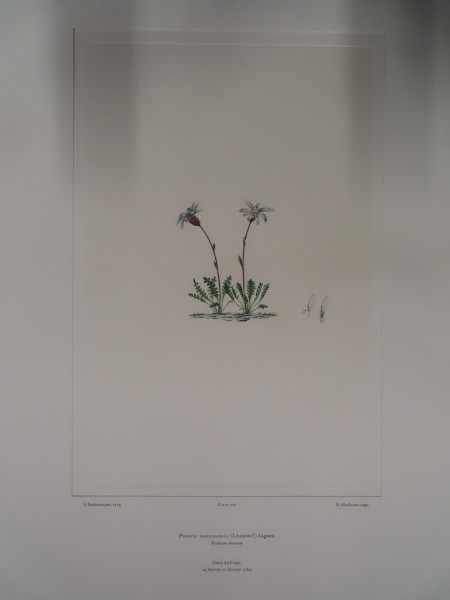 image FDA-E.2916_33_15-2016