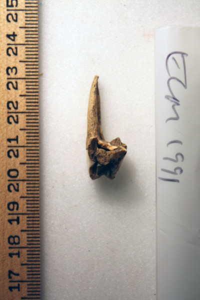 ECM.1991-2010-A image ECM.1991-2010-A