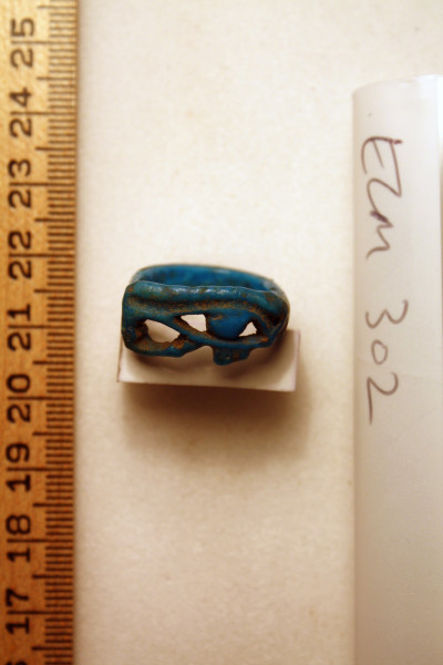 ECM.302-2010-A image ECM.302-2010-A