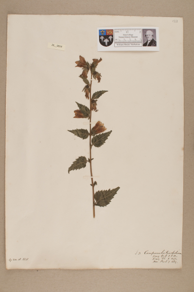 NHM_HH_26.14-2010 image NHM_HH_26.14-2010