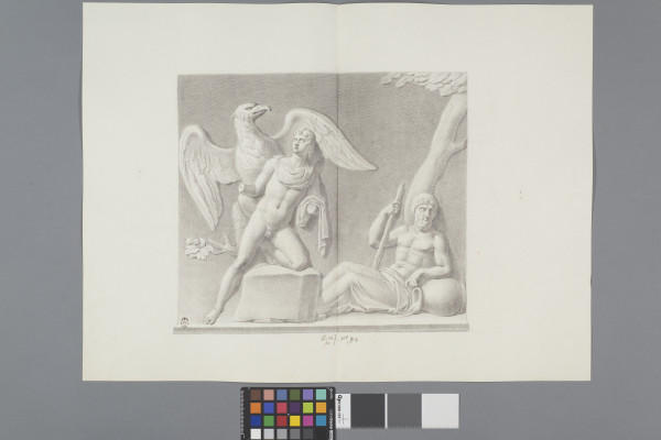 ECL-Bm.10_82-2013 image ECL-Bm.10_82-2013