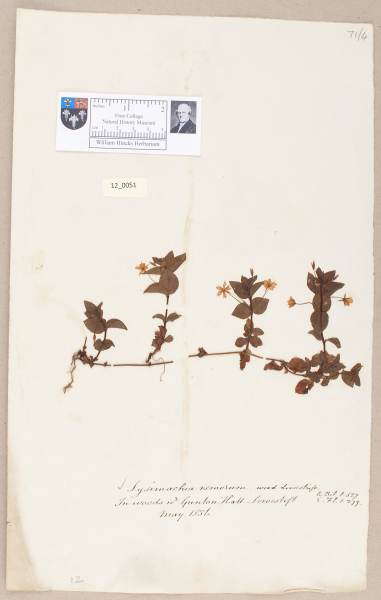 NHM_HH_12.51-2010 image NHM_HH_12.51-2010